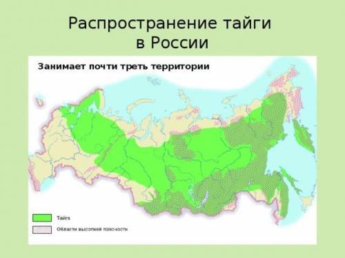 План изучения природной зоны 1. название, изображение на карте. 2. особенности природы (условия нежи