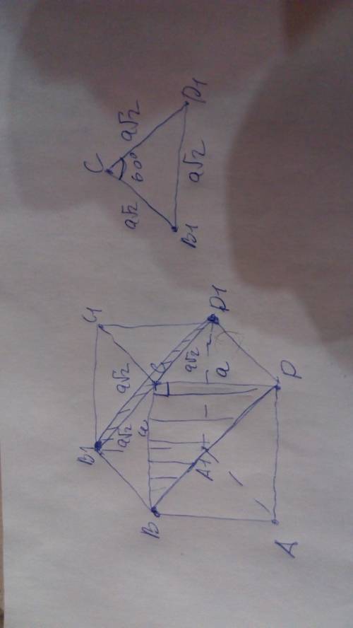 Св кубе abcda1b1c1d1 найдите тангенс угла между плоскостями abc и cb1d1