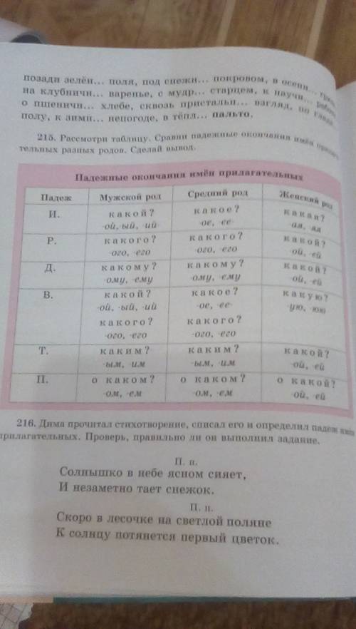 Вопросы имени прилагательного женского рода в винительном падеже