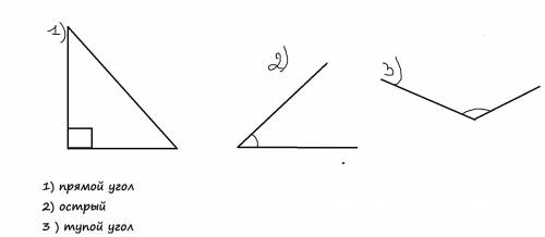 Начертите триугольник: 1)остоугольный 2)прямоугольный 3)тупоуголный провидите из каждой вершины треу