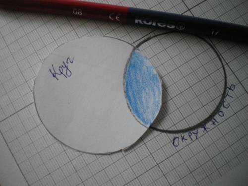 Выдели цветным карандашом общую часть окружности и круга.