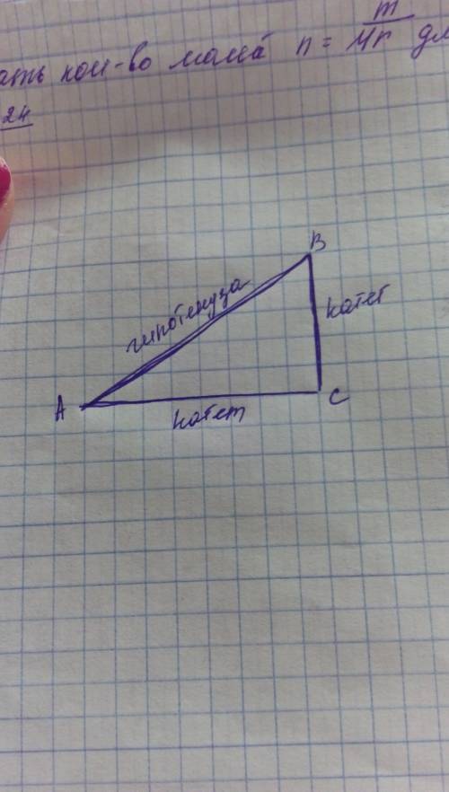 203. начертите прямо угольный треугольник , причем выделите разными цветами катеты и гипотезы.