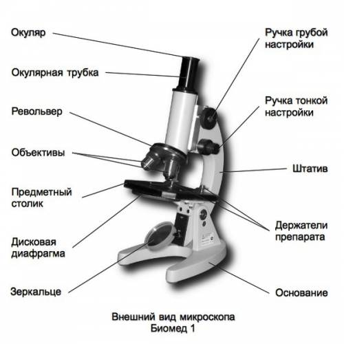 Как называется у микроскопа направление на микропреппарат