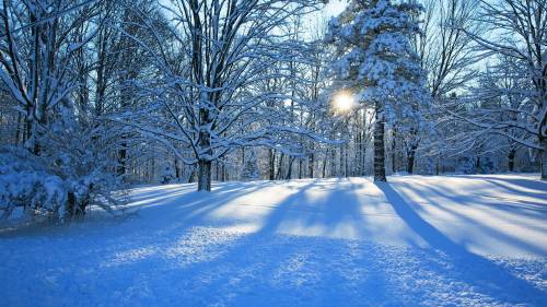 Скажите картинки про зиму красивые для конкурса