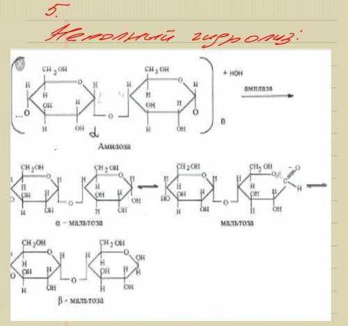 5. какие продукты образуются при полном и частичном гидролизе целюлозы?