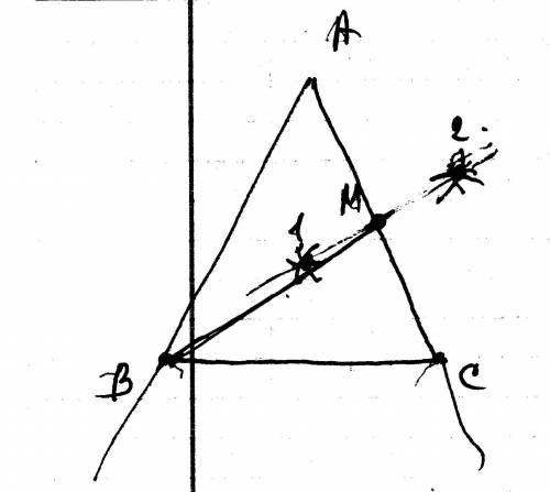 Начертите равнобедренный треугольник abc с основанием вс. с циркуля и линейки проведите медиану вв1