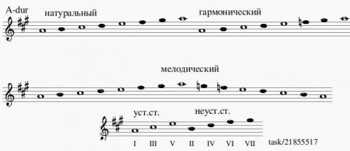 Гамма ля-мажор три вида (простой, гармонический, мелодический) устойчивые и неустойчивые ноты. , буд