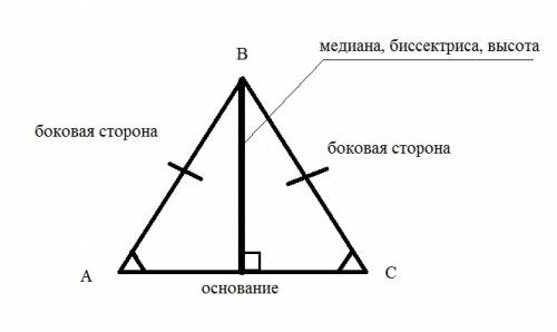 Построить биссектрису и высоту равносторонних треугольников