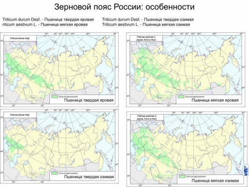 Объясните размещение на территории россии районов выращивания яровой и озимой пшеницы