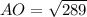 AO = \sqrt{289}