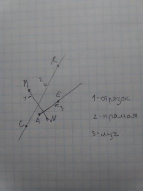 3. начертите прямую ск, луч ае и отрезок mn так, чтобы прямая ск пересекала отрезок mn и не пересека