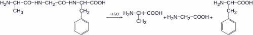 Структурная формула трипептида, при полном гидролизе которого образуются глицин, аланин, фенилаланин