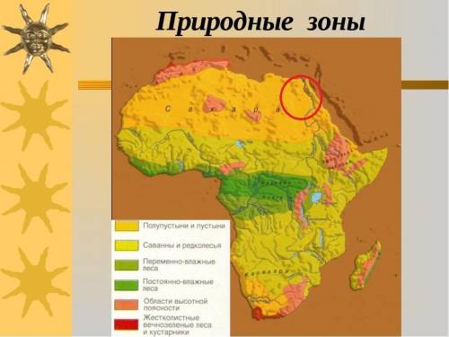 Природные зоны египта и их основные особенности.