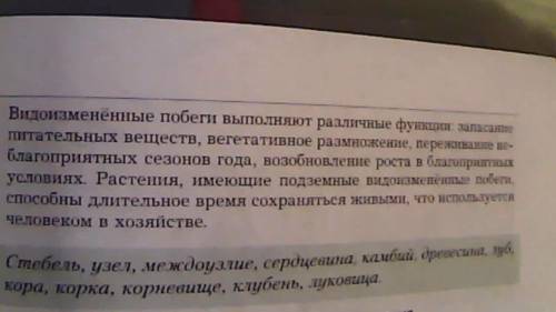 Какие из перечисленных частей растений, используемых для питания человеком, не являются ? кочан капу