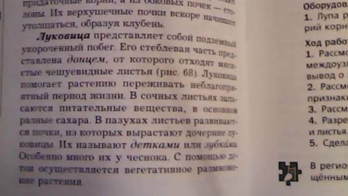 Какие из перечисленных частей растений, используемых для питания человеком, не являются ? кочан капу