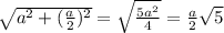 \sqrt{a^2 + (\frac{a}{2})^2 } = \sqrt{ \frac{5a^2}{4}} = \frac{a}{2} \sqrt{5}
