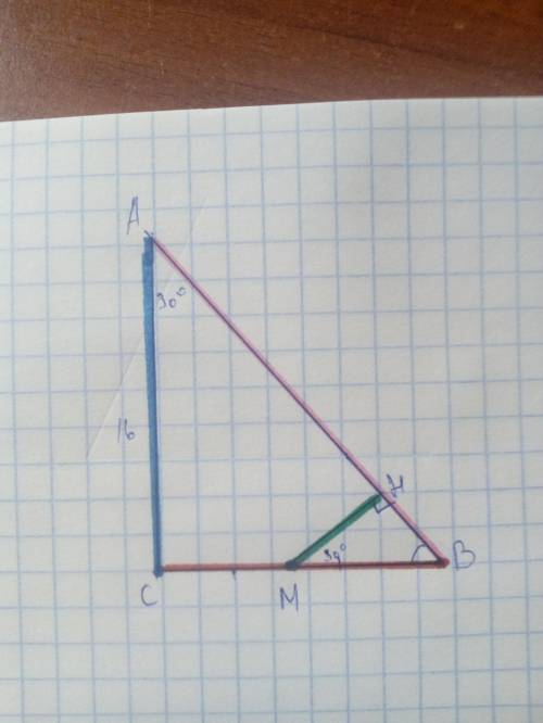 Впрямоугольном треугольнике abc угол c=90 гр., угол a=30 гр., ac=16 см. точка м - середина катета bc