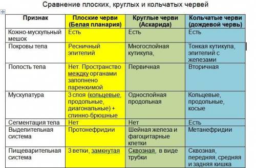 Сравнить аскариду, планарию и дождевого червя