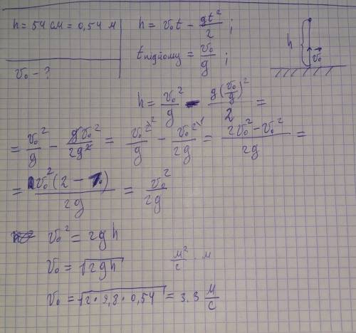 Будь-ласка, іть. коник стрибає з місця вертикально в гору на висоту 54см. обчисліть швидкість руху в