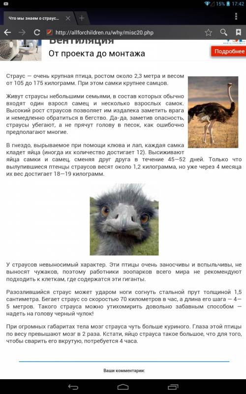 Короткий рассказ о страусах первоклассника