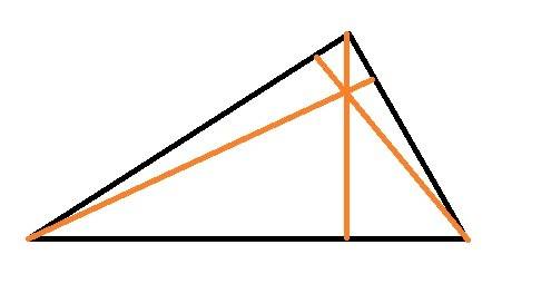Начертите остроугольный треугольник и найдите расстояние от каждой из его вершин до противоположной
