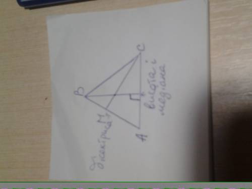 Нужен пример (прямоугольный треугольник медиана биссектриса и высота).