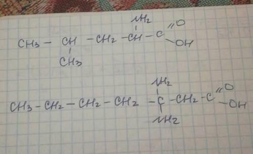 Напишите структурные формулы а)4-метил-2-аминопентановая кислота б)3,3-диаминогептановая кислота