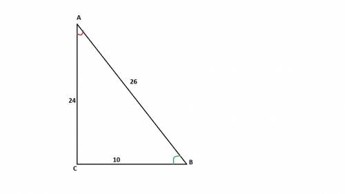 Втреугольнике abc ∠c = 90°, ab = 26 см, bc = 10 см. найдите: 1) sin a; 2) tg b.