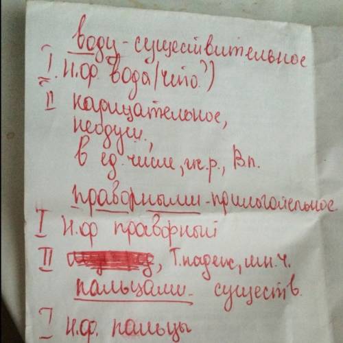 Вы когда-нибудь видели, как кормится енот? он обычно стоит у водоема, опустив передние лапы в воду,