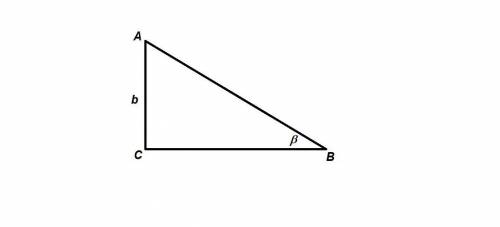 99 ! дан треугольник abc,угол c=90 градусов,угол b = бэтта, ac = b найти неизвестные стороны и углы