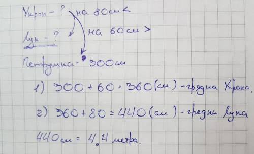 Вгороде у бабушки грядки с луком укропом и петрушкой .грядка с укропом на 6дм длиннее грядки с петру