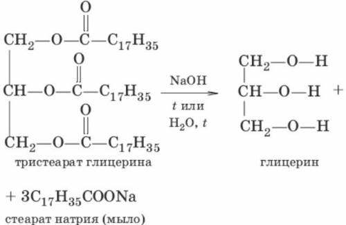 Составьте уравнение реакции гидролиза твёрдого жира