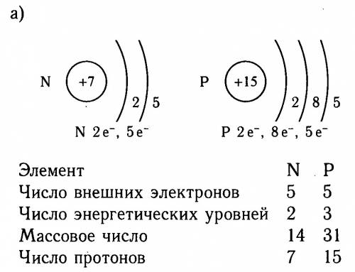 Составьте схему строения атома азота.определите число протонов нейтронов и электронов в этом атоме