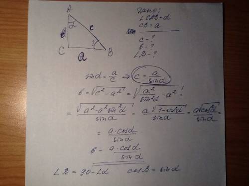 2.в прямоугольном треугольнике один из катетов равен а,а противолежащий ему угол равен альфа а) выра