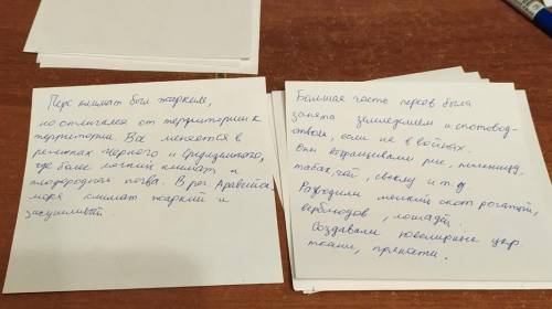 Как природно-климатические условия повлияли на занятия жителей персидской державы?