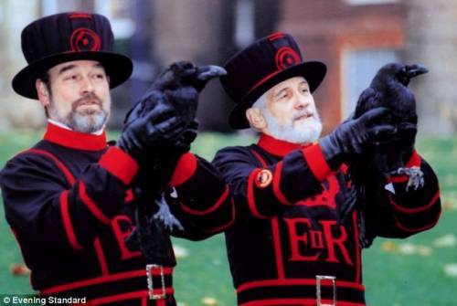 They are ceremonial guardians of the tower of london. in principle they are re-sponsible for looking