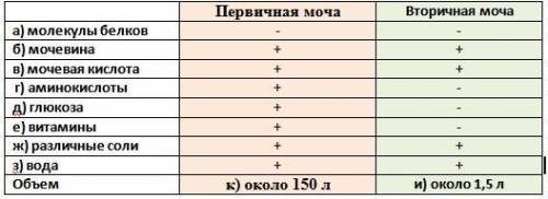 Сколько образуется в среднем за сутки первичной и вторичной мочи? заполните таблицу. 1 первичная моч