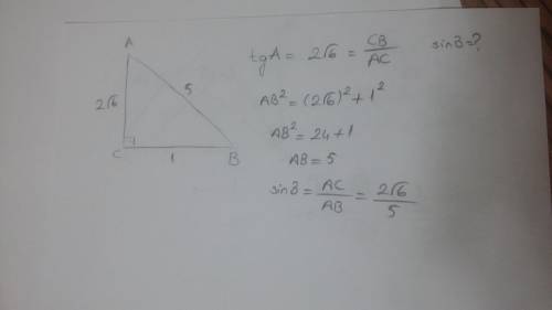 Втреугольнике abc угол c равен 90 градусов,tga=2 корня из 6. найдите sinb. 8 класс, напишите ещё фор