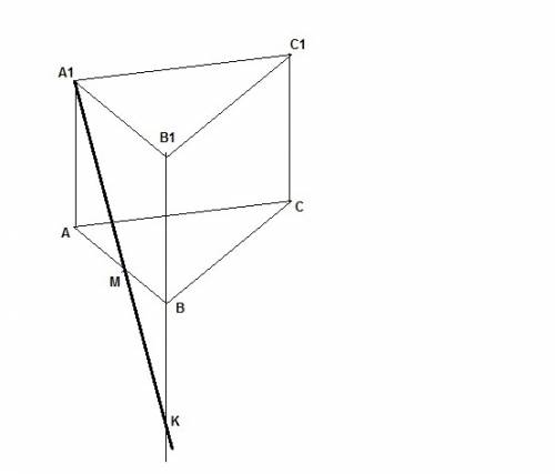 с по ) дана треугольная призма abca1b1c1.точка m принадлежит ab. построить точку пересечения прямой