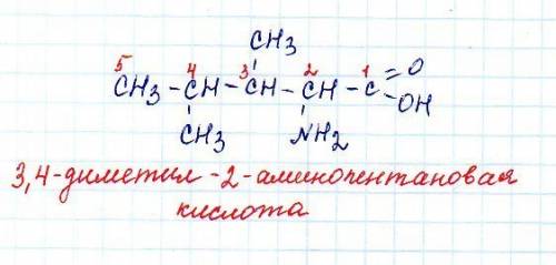 3,4 диметил 2 аминопентановая кислота