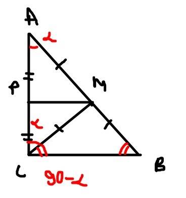 Впрямоугольном треугольнике abc через середину p катета ac проведен перпендикуляр ,пересикающий гипо