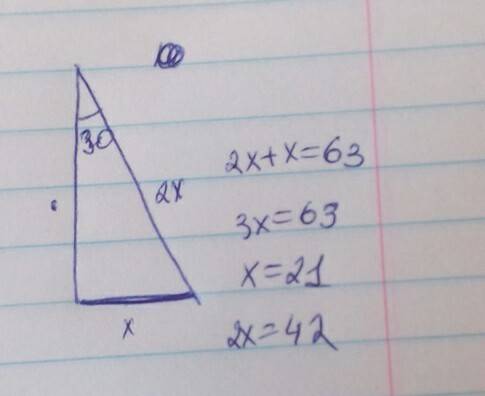 Один из углов прямоугольного треугольника = 30 градусам, а сумма гипотенузы и меньшего катета = 63 г