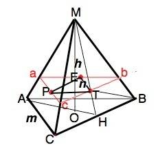 Решить подробно и на листочке. в правильном тетраэдре h-высота, m-ребро, n-расстояние между центрами