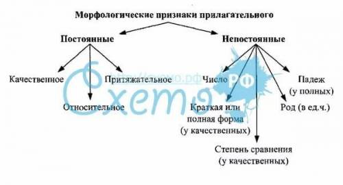 Морфлогические признаки у прилогателиного