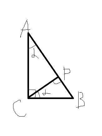 Из вершины прямого угла c треугольника abc проведена высота cp. радиус окружности, вписанной в треуг