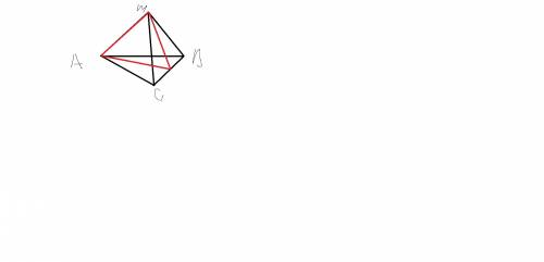 Вединичном тетраэдре mabc найдите площадь сечения, проходящего через вершины a, m и середину bc.