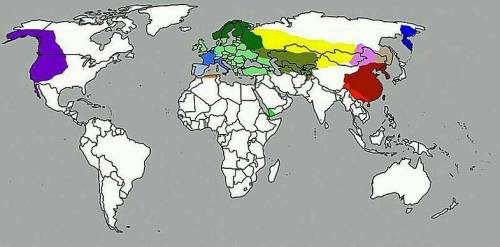 Подписать места обитания сороки на карте мира
