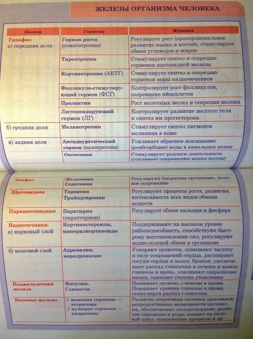 Напишите таблицу: железа,гормоны этой железы,и функции гормонов этой ﻿