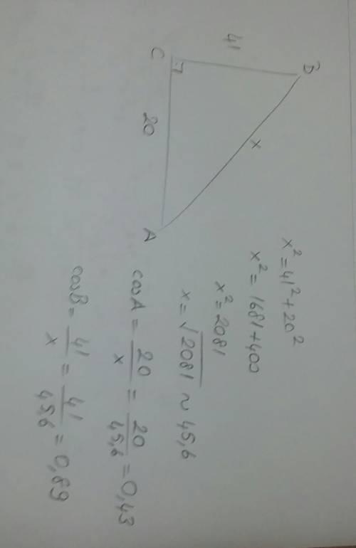 Втреугольнике abc угол с=90 градусов, вс=41 см, ас=20 см. найдите косинусы острых углов треугольника