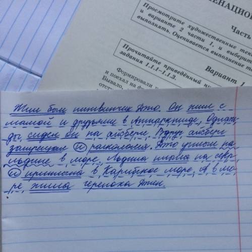 Вкаждом предложении подчеркни главные члены.однородные члены покажи графически жил был пингвинчик дж